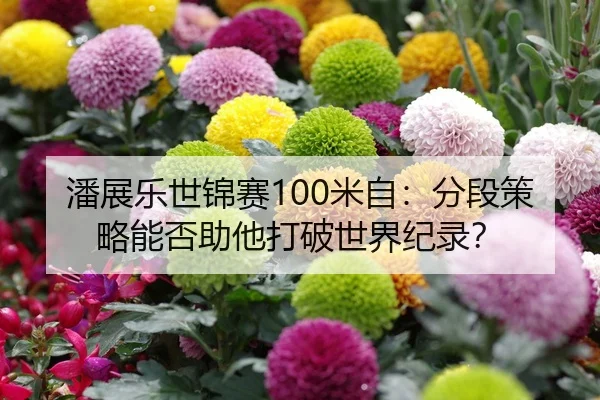 潘展乐世锦赛100米自：分段策略能否助他打破世界纪录？