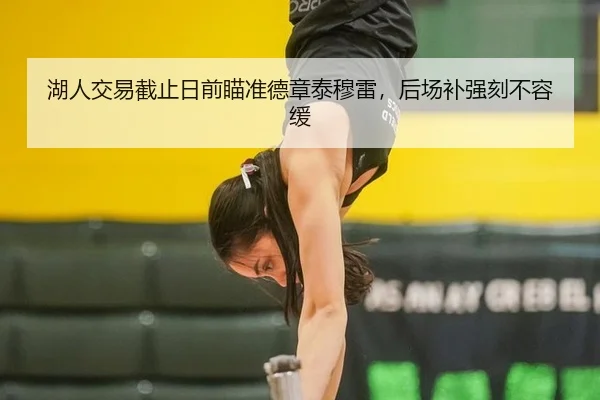 湖人交易截止日前瞄准德章泰穆雷，后场补强刻不容缓