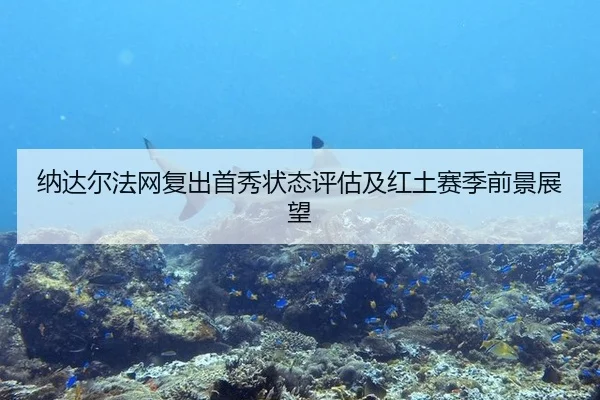na-da-er-fa-wang-fu-chu-shou-xiu-zhuang-tai-ping-gu-ji-hong-tu-sai-ji-qian-jing-zhan-wang-2-921.jpg